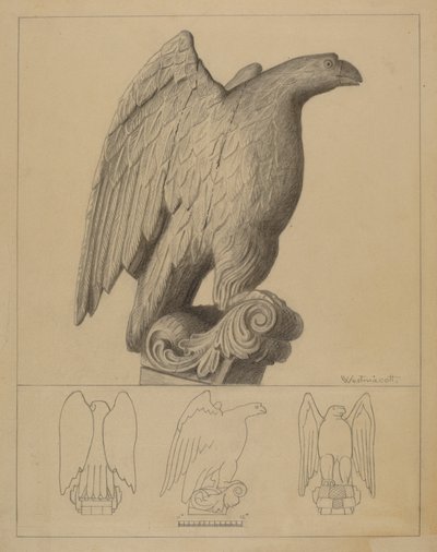 Eagle by Bernard Westmacott