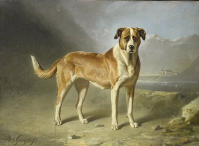 A St Bernard Dog by Bernard te Gempt
