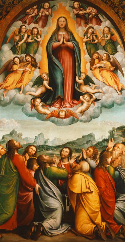 The Assumption of the Virgin by Bernardino Ferrari