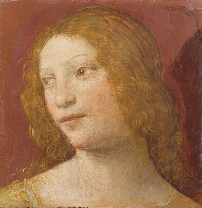 Head of a Young Woman by Bernardino Luini