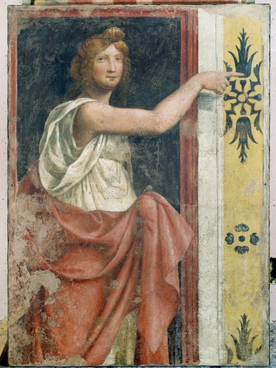 Sibyl by Bernardino Luini