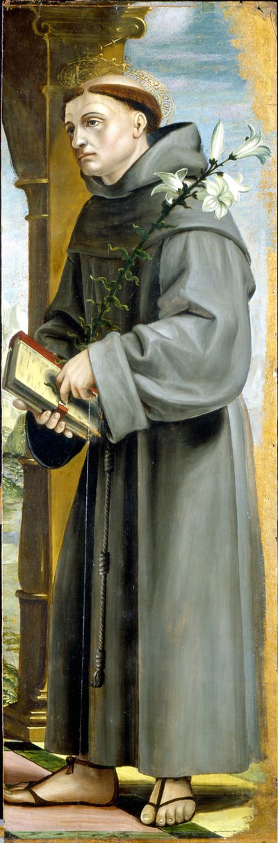 Saint Anthony of Padua by Bernardo Zenale