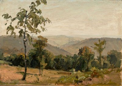 View over the Neckar Mountains near Heidelberg by Bernhard Fries