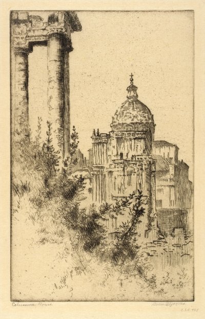 Columns, Roman Forum by Bertha E. Jaques