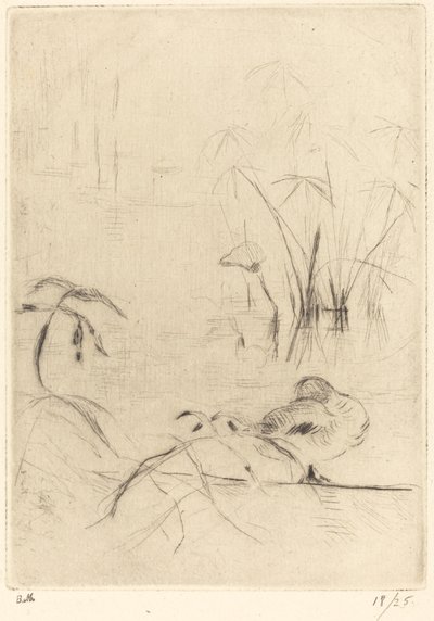 Ducks at Rest on the Bank by Berthe Morisot