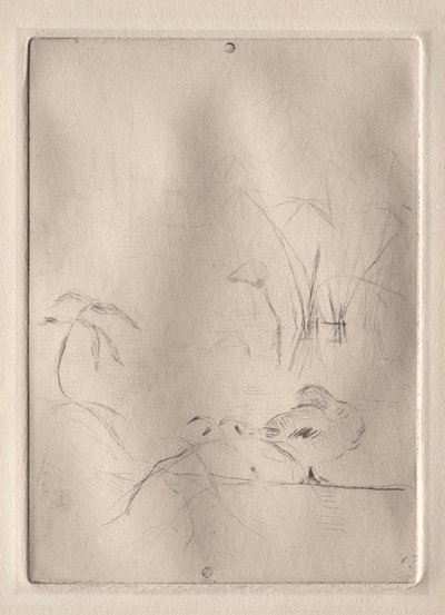The Duck by Berthe Morisot