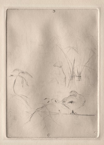 The Duck by Berthe Morisot