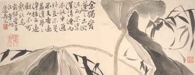 Lotus Leaves and Water Reeds by Bian Shoumin
