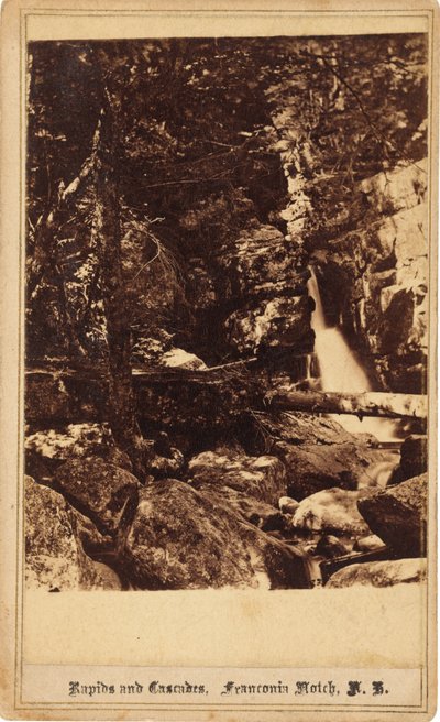 Rapids and Cascades, Franconia Notch, New Hampshire by Bierstadt Brothers