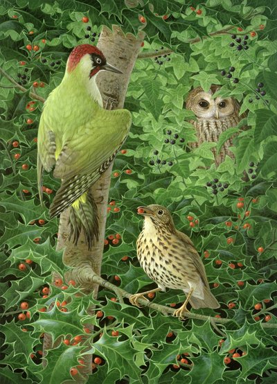 Woodpecker, Owl and Thrush by Birgitte Hendil