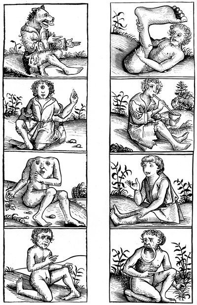 Beliefs and Popular Superstitions, 1493 1849 by Bisson and Cottard
