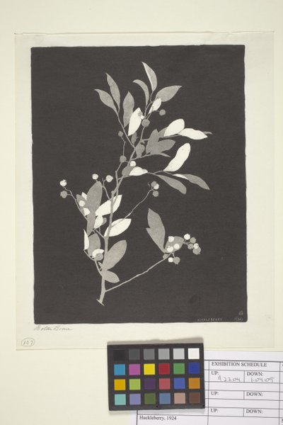 Huckleberry by Bolton Coit Brown