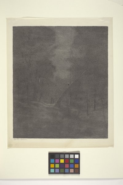 Moonlight Woods by Bolton Coit Brown