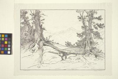 Sierra Pines by Bolton Coit Brown