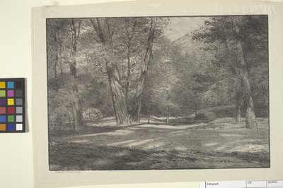 Sierra Woods by Bolton Coit Brown