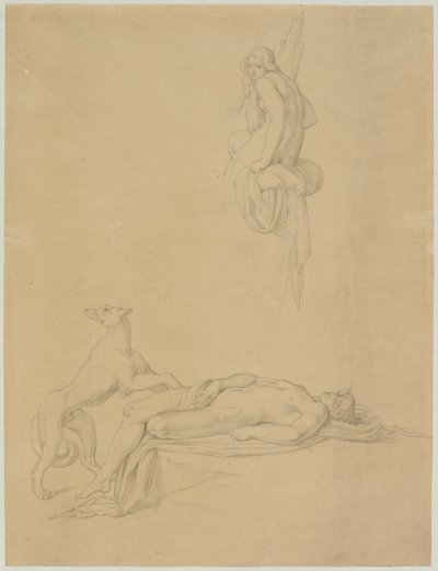 Nude Studies for Ovid
