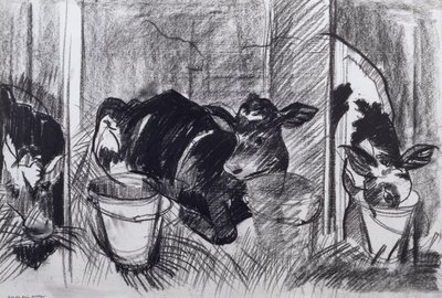 Calves by Brenda Brin Booker