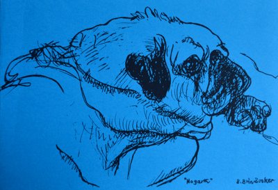 Hogarth by Brenda Brin Booker