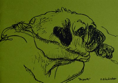 Hogarth by Brenda Brin Booker
