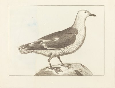 Water Fowl by British 19th Century