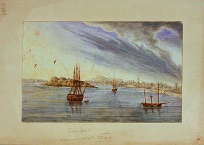 View of Singapore by British School