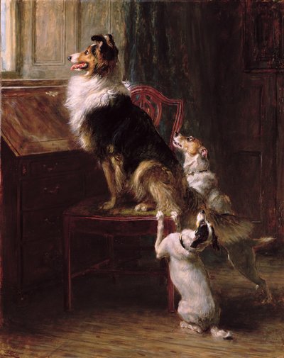 A Reserved Seat by Briton Riviere