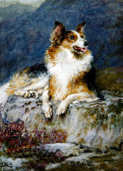 Collie in a Landscape by Briton Riviere
