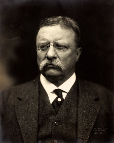 Theodore Roosevelt by Brothers Pach