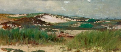 Nantucket Sand Dune, ca. 1890 by C. Morgan McIlhenney