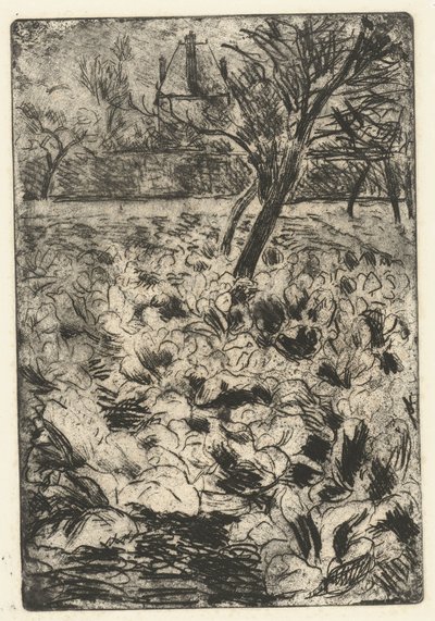 The Turnip Field by Camille Jacob Pissarro