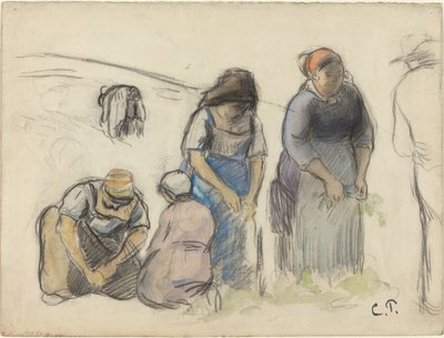 Pea Harvesters (recto) by Camille Pissarro
