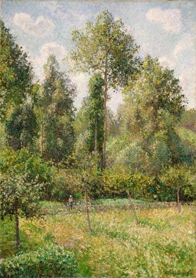 Poplars, Éragny by Camille Jacob Pissarro