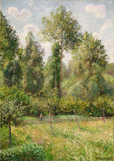 Poplars, Éragny, 1895 by Camille Jacob Pissarro
