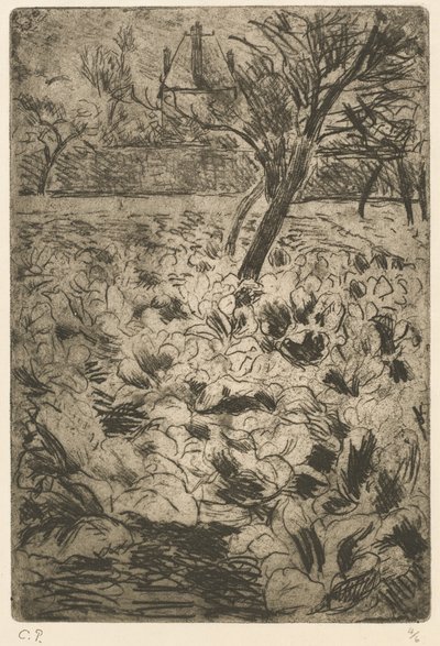 The Cabbage Field by Camille Pissarro