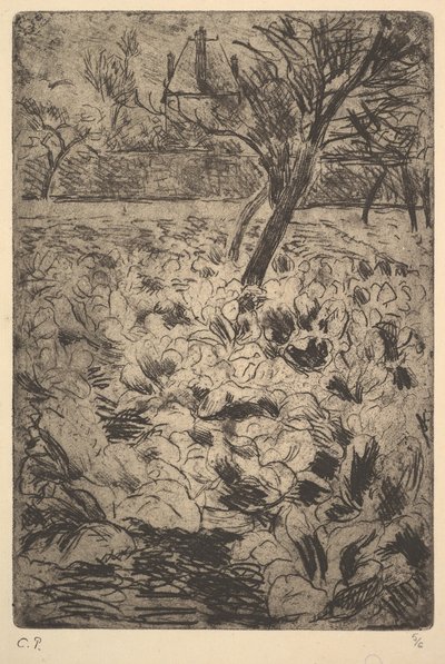 The Cabbage Field by Camille Jacob Pissarro