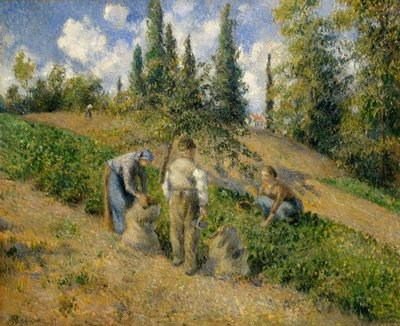 The Harvest, Pontoise by Camille Jacob Pissarro