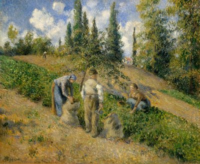 The Harvest, Pontoise by Camille Jacob Pissarro