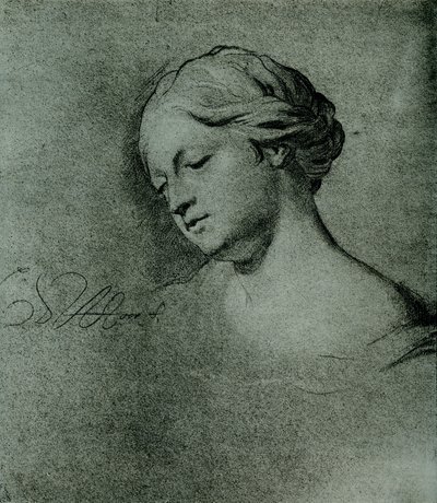 Female Head Study by Carel De Moor