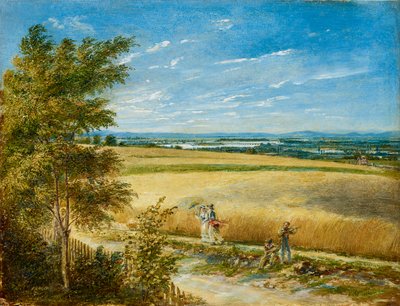 The Danube with the Old Imperial Bridge by Carl Agricola
