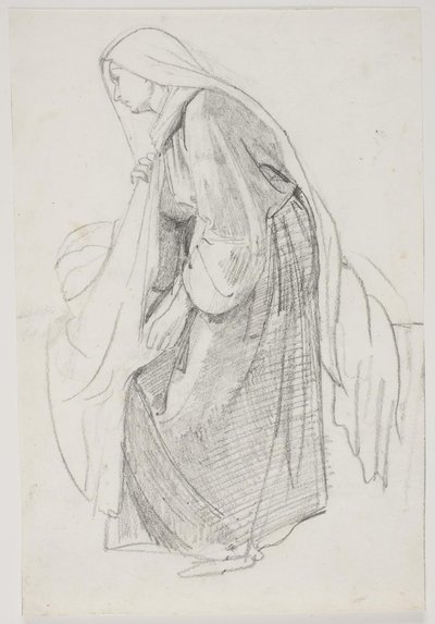 Studies for the Museum