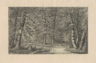 Beech Forest by Carl C. Brenner