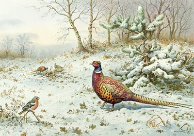 Cock Pheasant and Chaffinch by Carl Donner