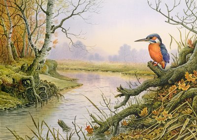 Kingfisher: Autumn River Scene by Carl Donner