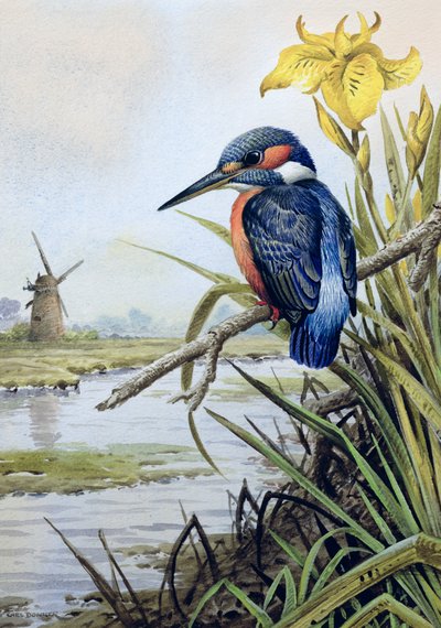 Kingfisher with Flag Iris and Windmill by Carl Donner