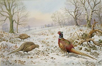 Pheasant and Partridges in a Snowy Landscape by Carl Donner