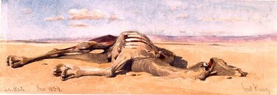 A Dead Camel by Carl Haag
