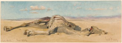 In the Desert by Carl Haag