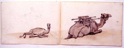 Two sketches of dromedaries by Carl Haag