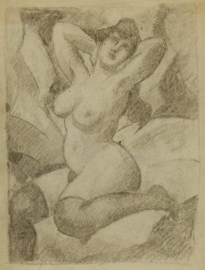 Female Nude with Black Stockings by Carl Newman
