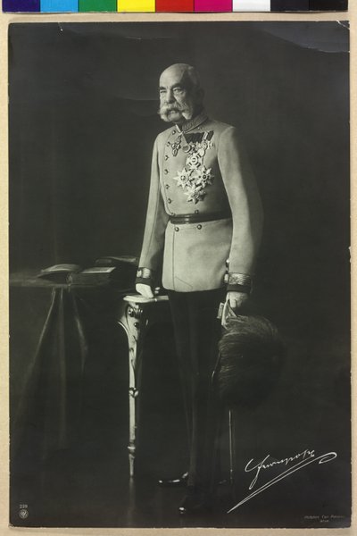 Franz Joseph I by Carl Pietzner